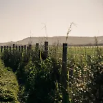 La Veleta Campismo de Luxo