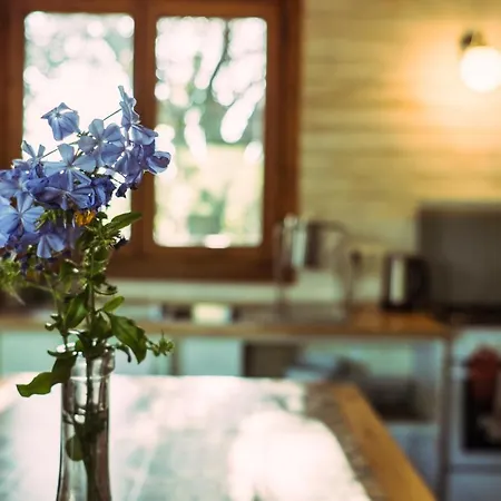 Luxury tent La Veleta Cadiz