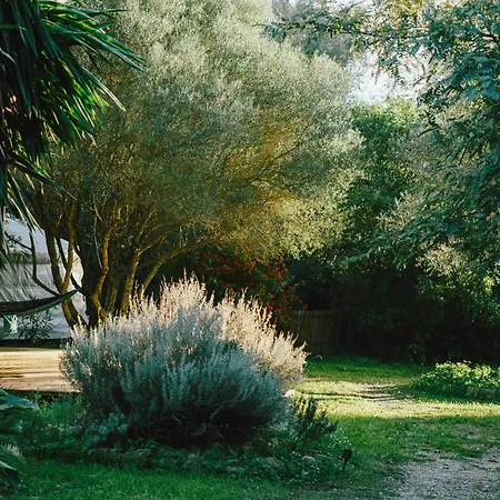 La Veleta Luxury tent