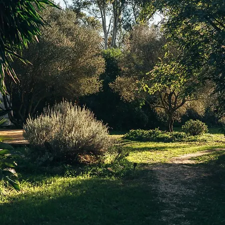 Luxury tent La Veleta