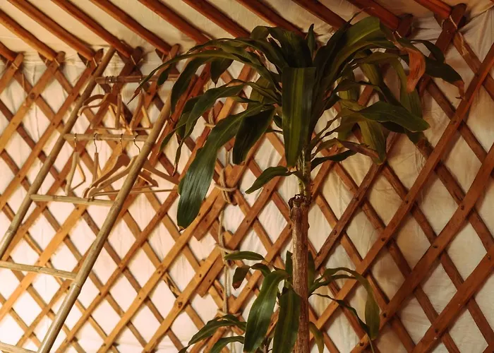 La Veleta אוהל מפואר קדיז