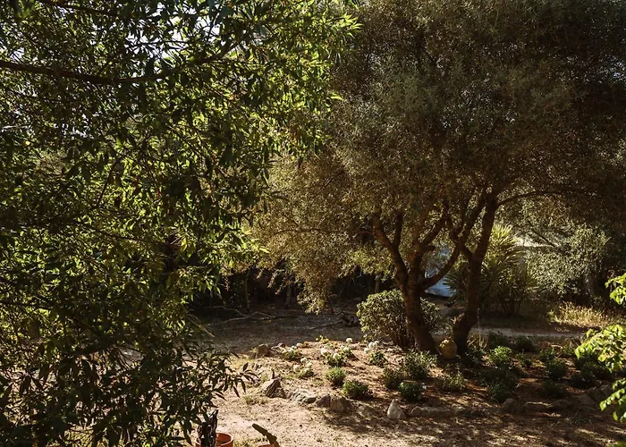 La Veleta אוהל מפואר קדיז