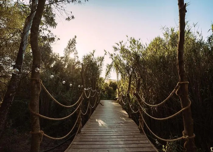 La Veleta * קדיז