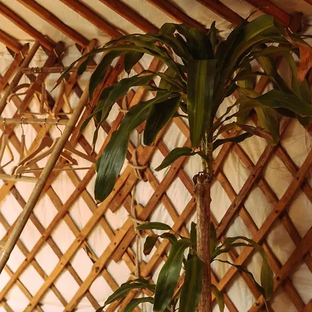 La Veleta Lüks kamp alanı Cadiz