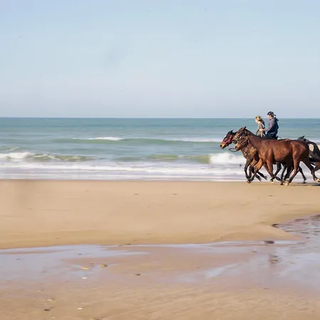 La Veleta Lüks kamp alanı