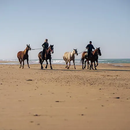 Luxuszelt La Veleta Cádiz