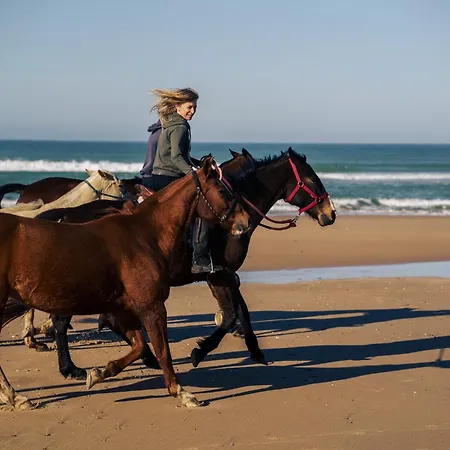 La Veleta Lüks kamp alanı *