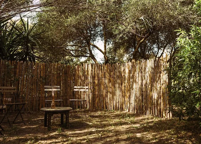 La Veleta * カディス