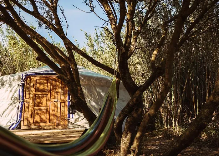 La Veleta カディス