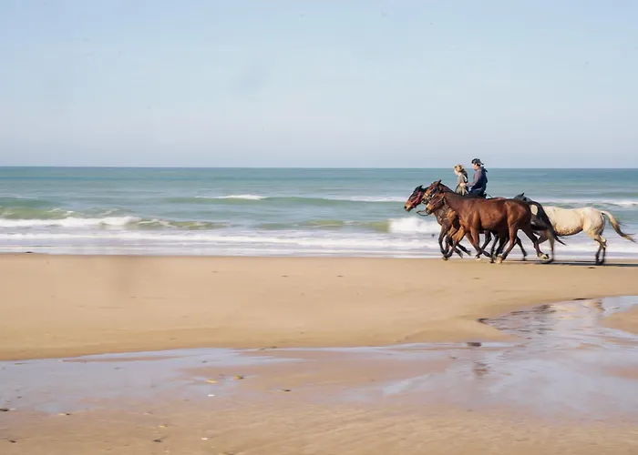 La Veleta ラグジュアリーテント