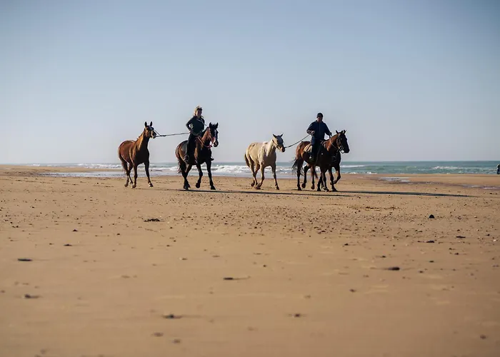 Luxuszelt La Veleta Cádiz
