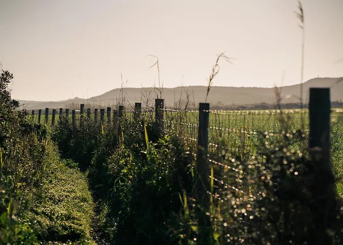 La Veleta ラグジュアリーテント