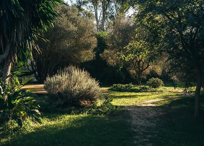 Campo de lujo La Veleta