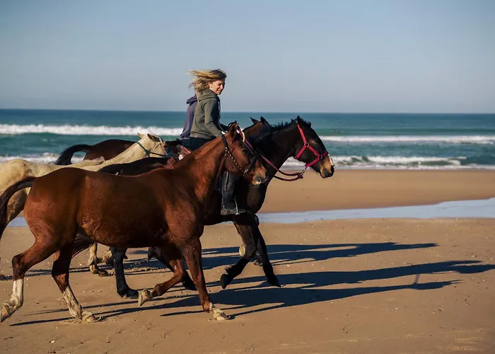 La Veleta Campo de lujo *